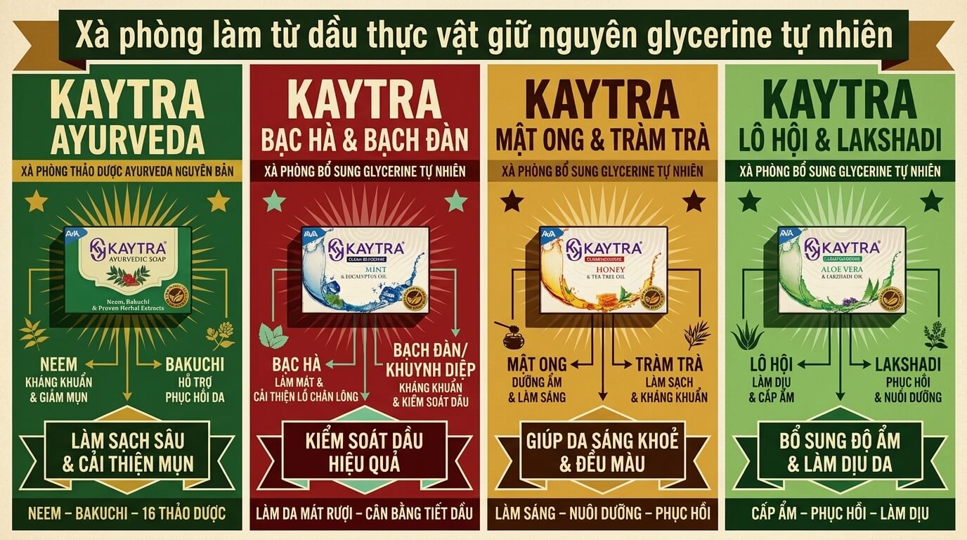 Kaytra Vietnam Infographic
