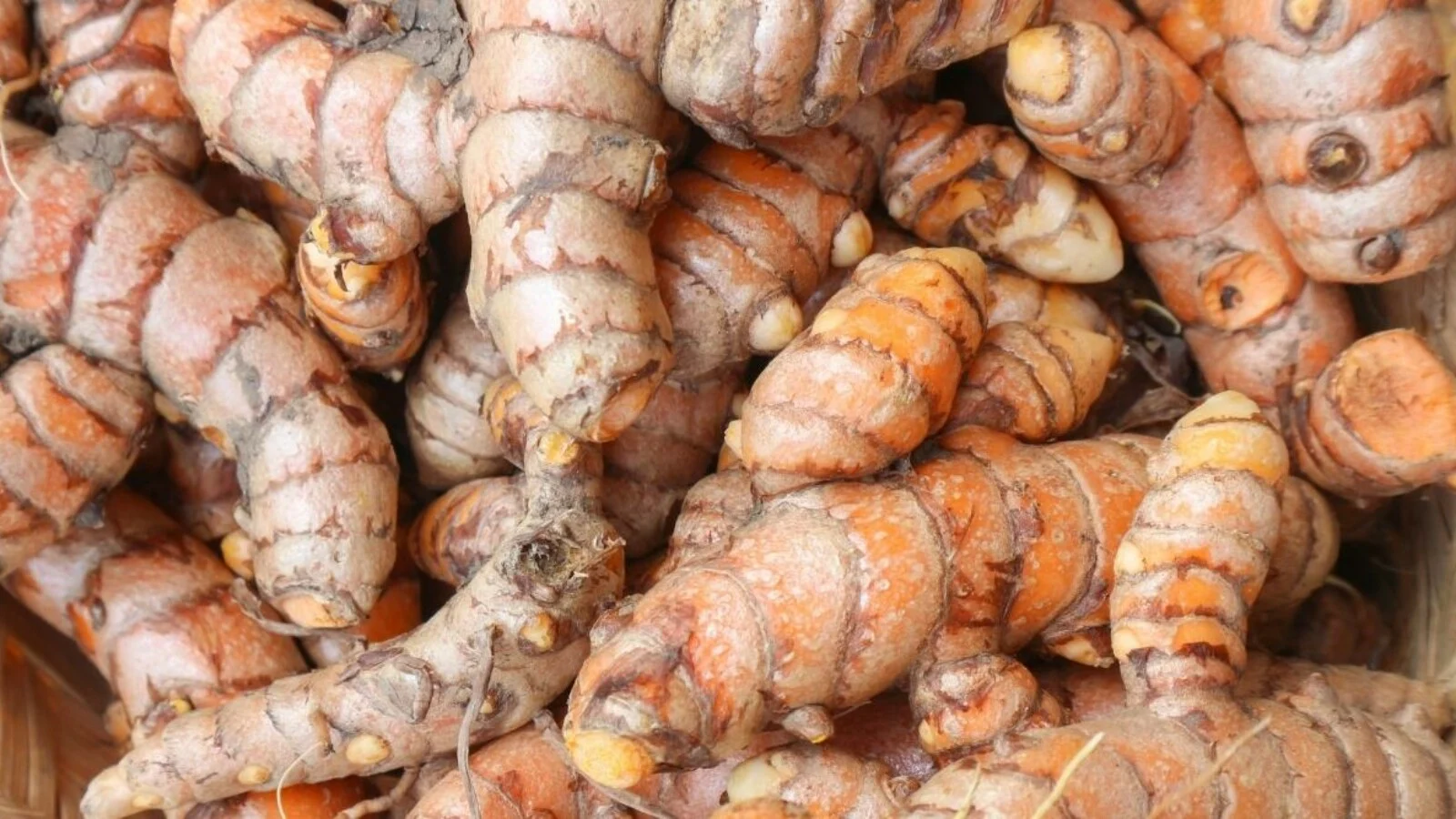 Vicco Turmeric